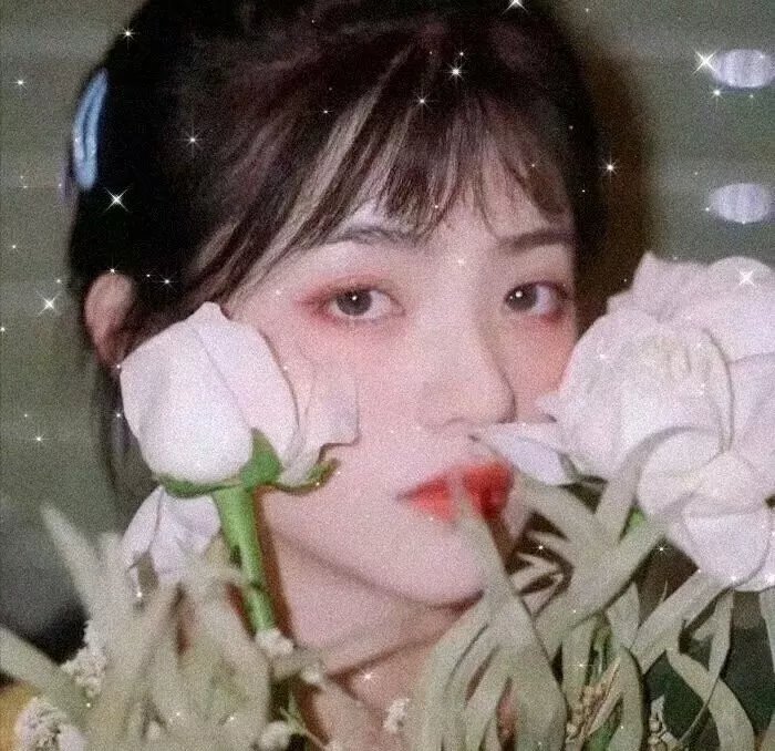 红野菊